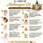 8 uses of malkangani oil