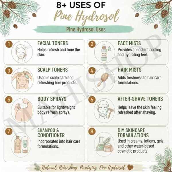 8 uses of pine hydrosol