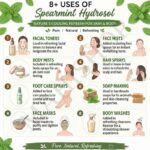 8 uses of spearmint hydrosol
