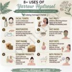 8 uses of yarrow hydrosol