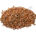 Radish Seed Oil