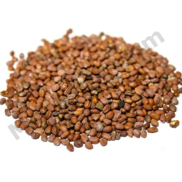 Radish Seed Oil