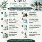 8 uses of organic eucalyptus oil
