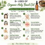 8 uses of organic holy basil oil