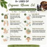 8 uses of organic neem oil