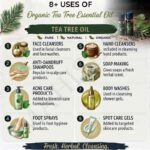 8 uses of organic tea tree oil