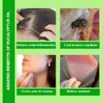Eucalyptus Oil