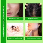 Lavender Oil