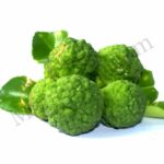 Organic Bergamot Essential Oil