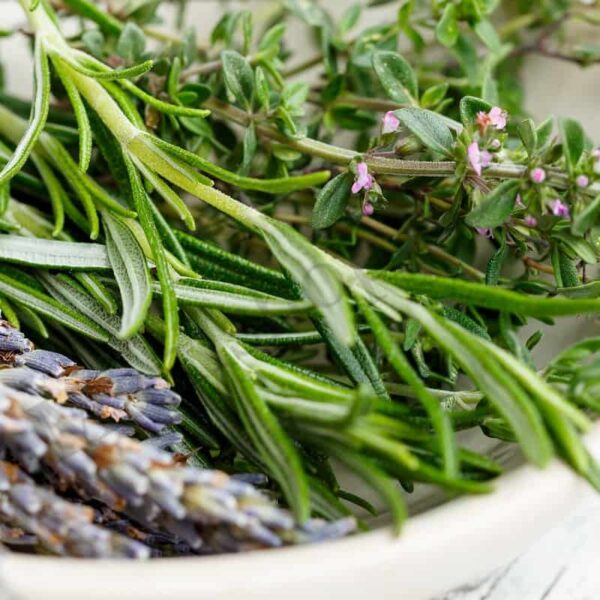 Organic Rosemary Essential Oil