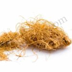 Organic Vetiver Essential Oil