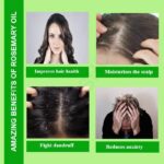 Rosemary Oil