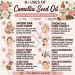 8 uses of camellia seed oil