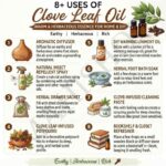 8 uses of clove leaf oil