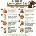 8 uses of clove stem oil