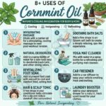 8 uses of cornmint oil