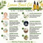 8 uses of lemon basil oil