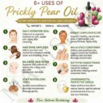 8 uses of prickly pear oil