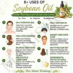 8 uses of soy bean oil