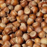 Hazelnut Carrier Oil