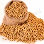 Soybean Oil