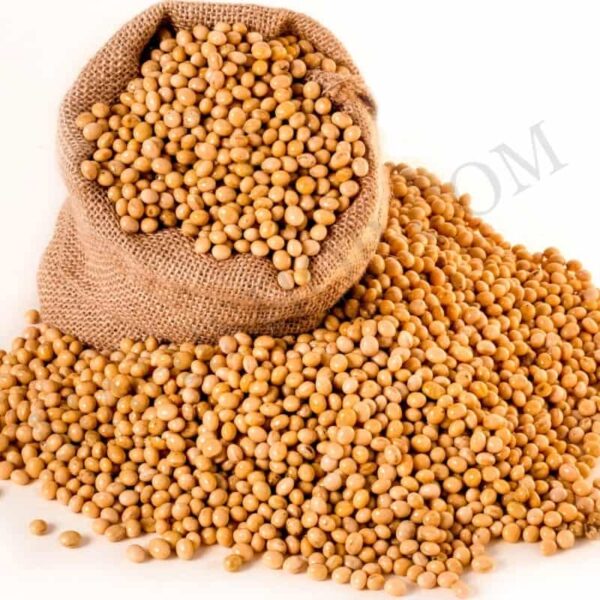 Soybean Oil