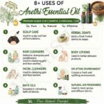 8 uses of anethi oil