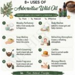 8 uses of arborvitae wild oil
