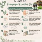 8 uses of penny royal essential oil