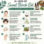 8 uses of sweet birch oil