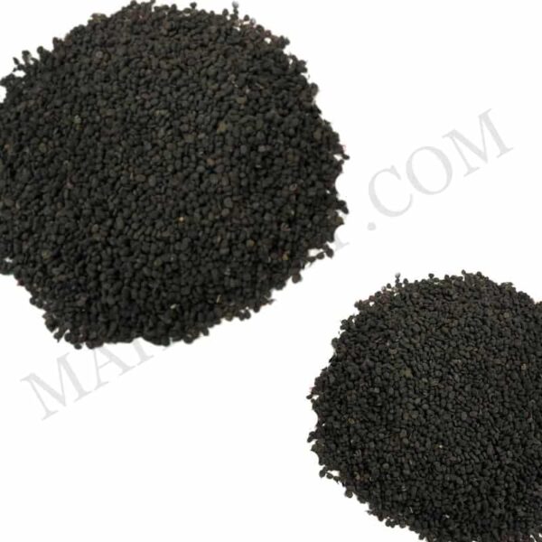 Organic Babchi(bakuchi) Oil