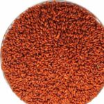 Buy Halim Seed Oil