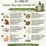 8 uses of organic bay leaf oil