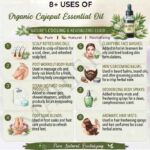 8 uses of organic cajeput oil