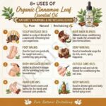 8 uses of organic cinnamon leaf oil