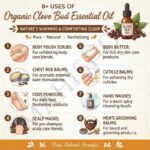 8 uses of organic clove bud essential oil