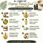 8 uses of organic fennel seed oil
