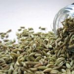 Organic Fennel Seed Essential Oil