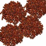Organic Malkangani Oil