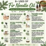 8 uses of fir needle oil