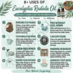 8 uses of eucalyptus radiata oil