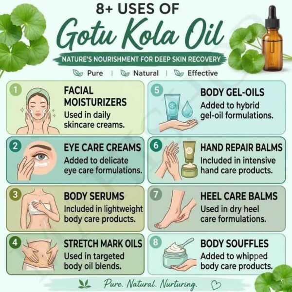 8 uses of gotu kola oil