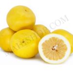 Organic Grapefruit(white) Essential Oil