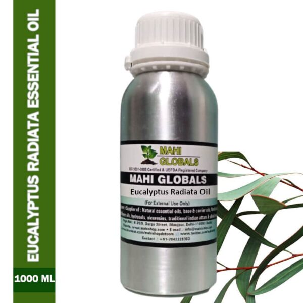 Eucalyptus radiata essential oil 1000ml