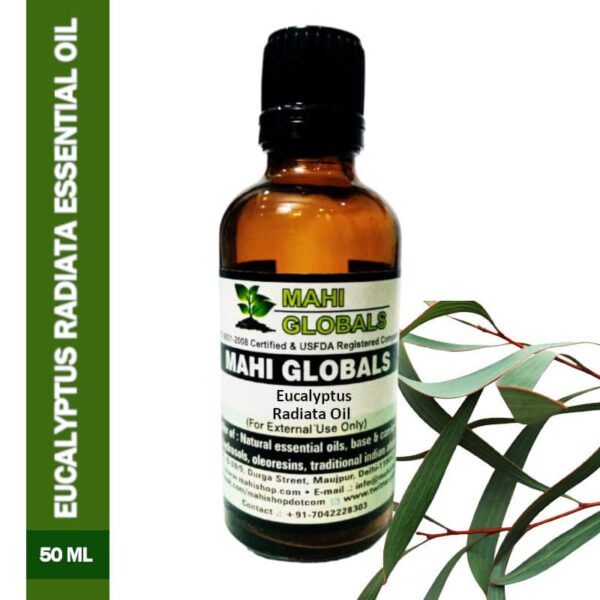 Eucalyptus Radiata Essential Oil 50ml
