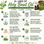 8 uses of holy basil oil