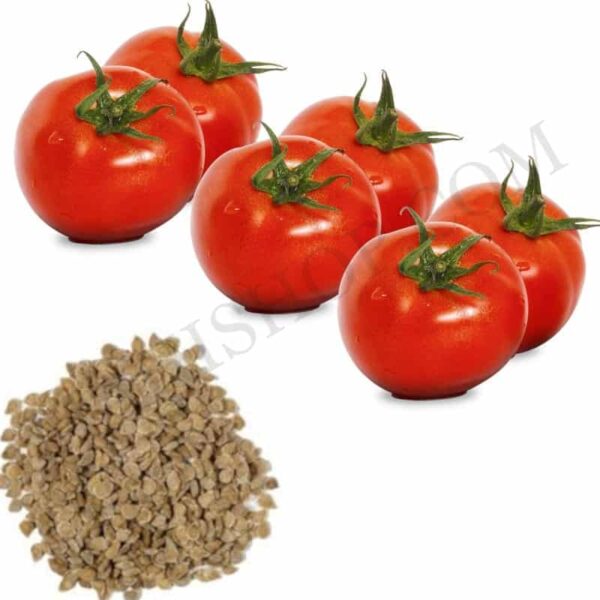 Tomato Seed Oil
