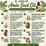 8 uses of amla seed oil