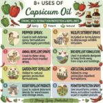 8 uses of capsicum oil