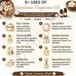 8 uses of gardenia fragrance oil
